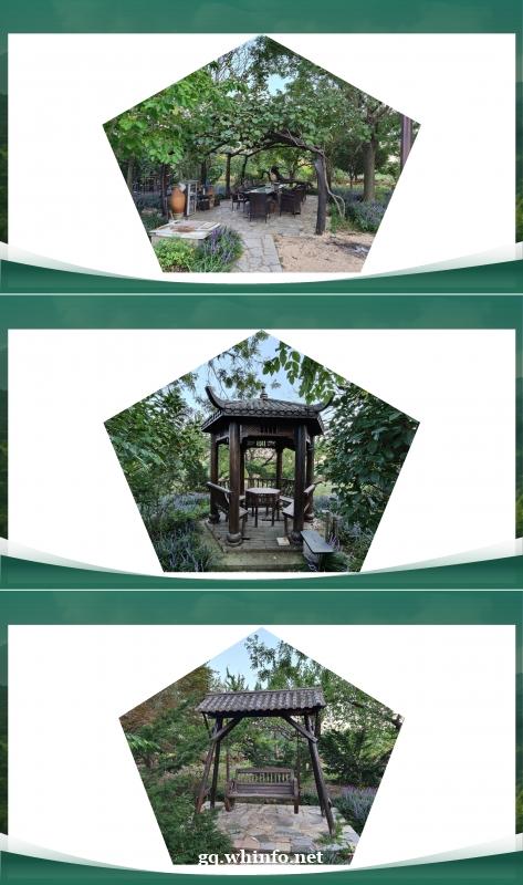 荣成伟德山生态农场-转租 荣成伟德山生态农场-转租