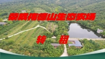 荣成伟德山生态农场-转租